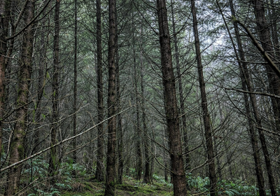 666 Chat GPT Image Jan 13 2026 at 04 48 48 PM