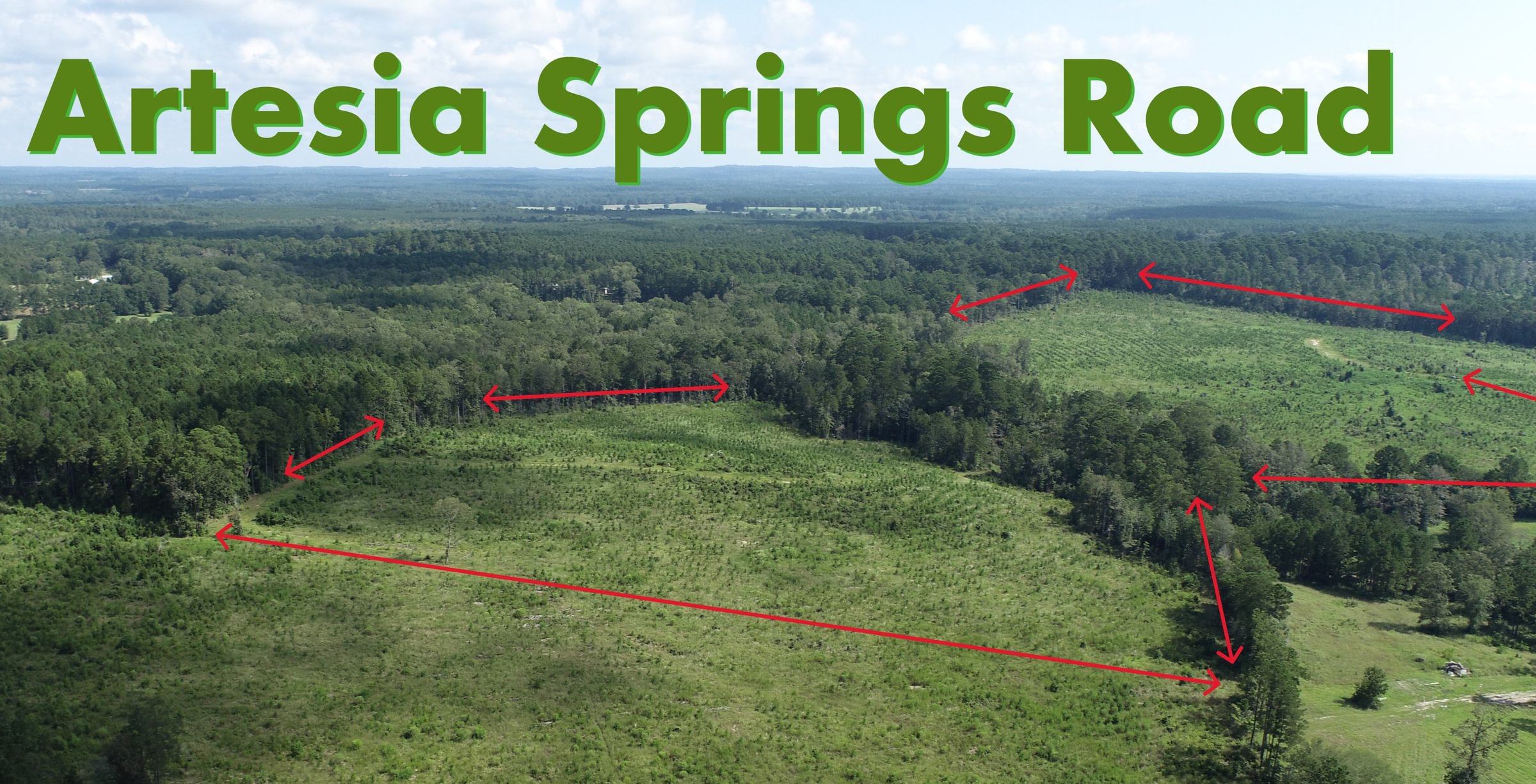 Photo 2 of Sturgis Mill T-17, 63 acres, Sabine County, Texas