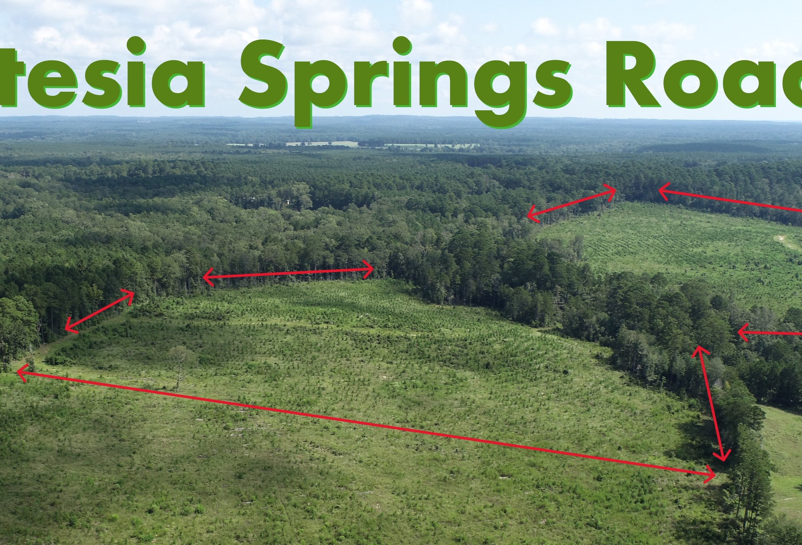 Photo 2 of Sturgis Mill T-17, 63 acres, Sabine County, Texas