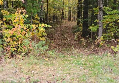 666 Snowmobile Trail 2