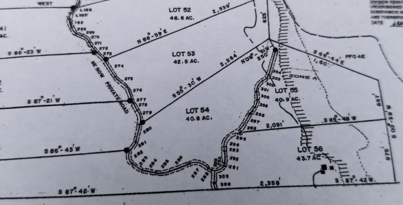 667 Survey up close lot 55