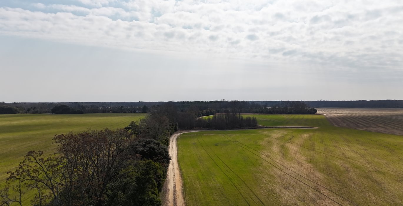669 DJI 20250206115448 0103 D
