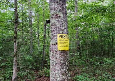 669 Posted Tree Stand Rt of Main Rd 350