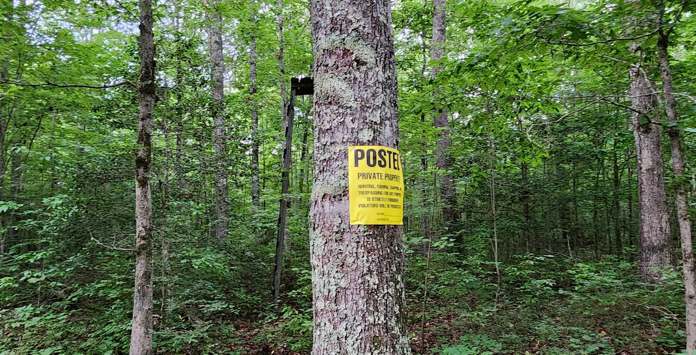 669 Posted Tree Stand Rt of Main Rd 350