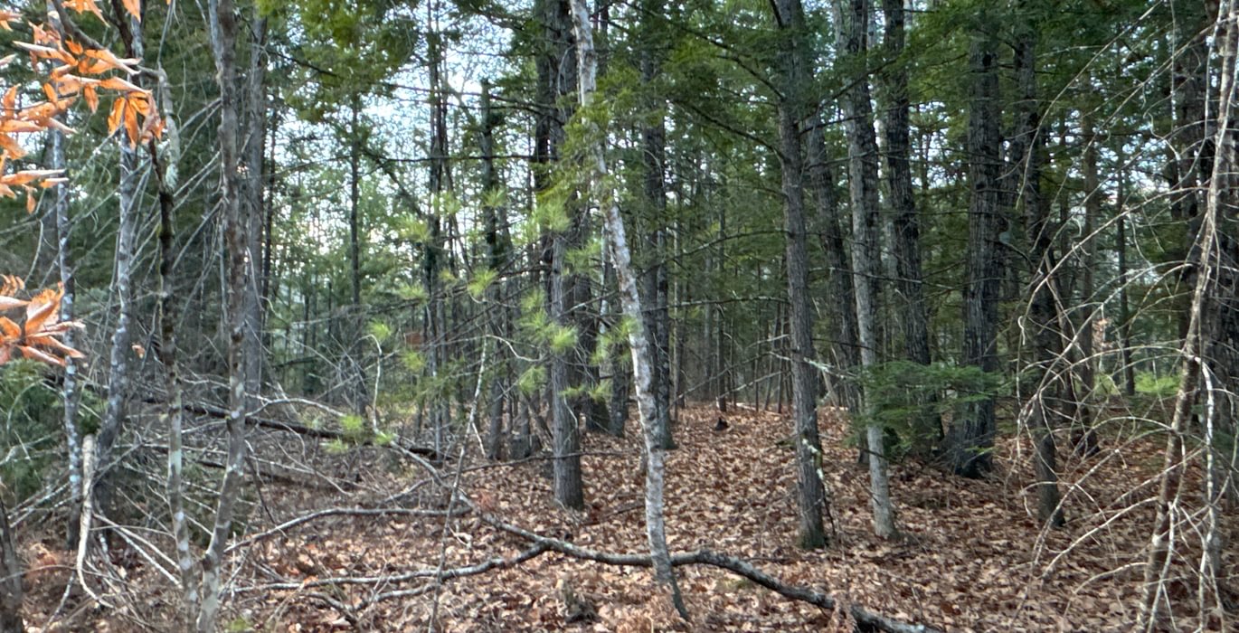 669 subdivision lot