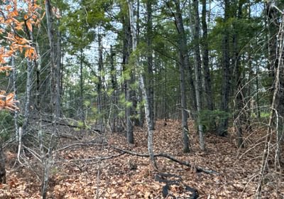 669 subdivision lot
