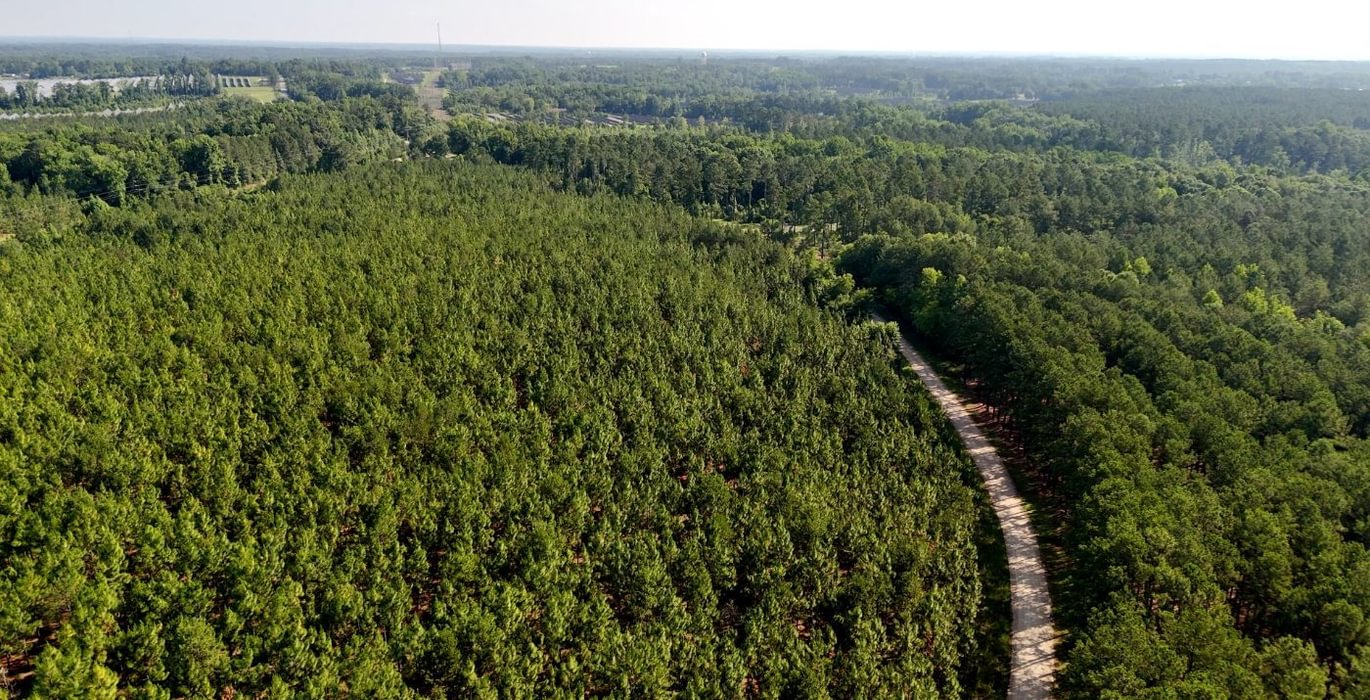 66 Longleaf Mecca Photo 3