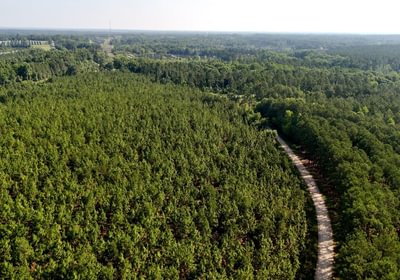 66 Longleaf Mecca Photo 3