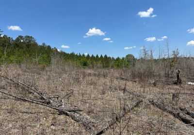670 IMG 01581