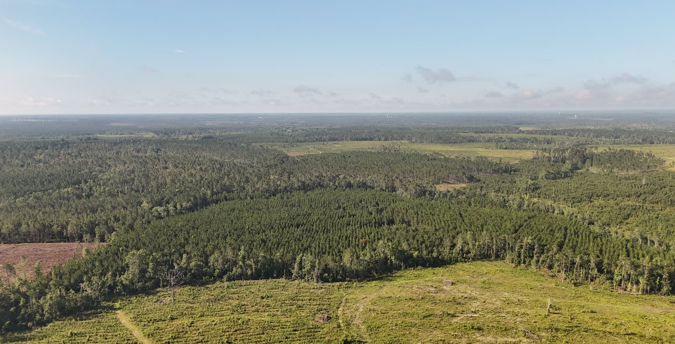 672 DJI 20250613085823 0074 D