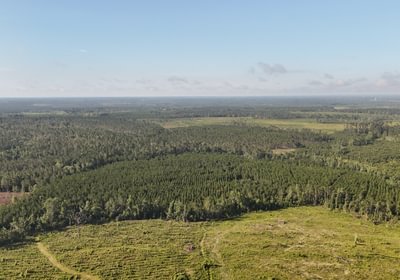 672 DJI 20250613085823 0074 D