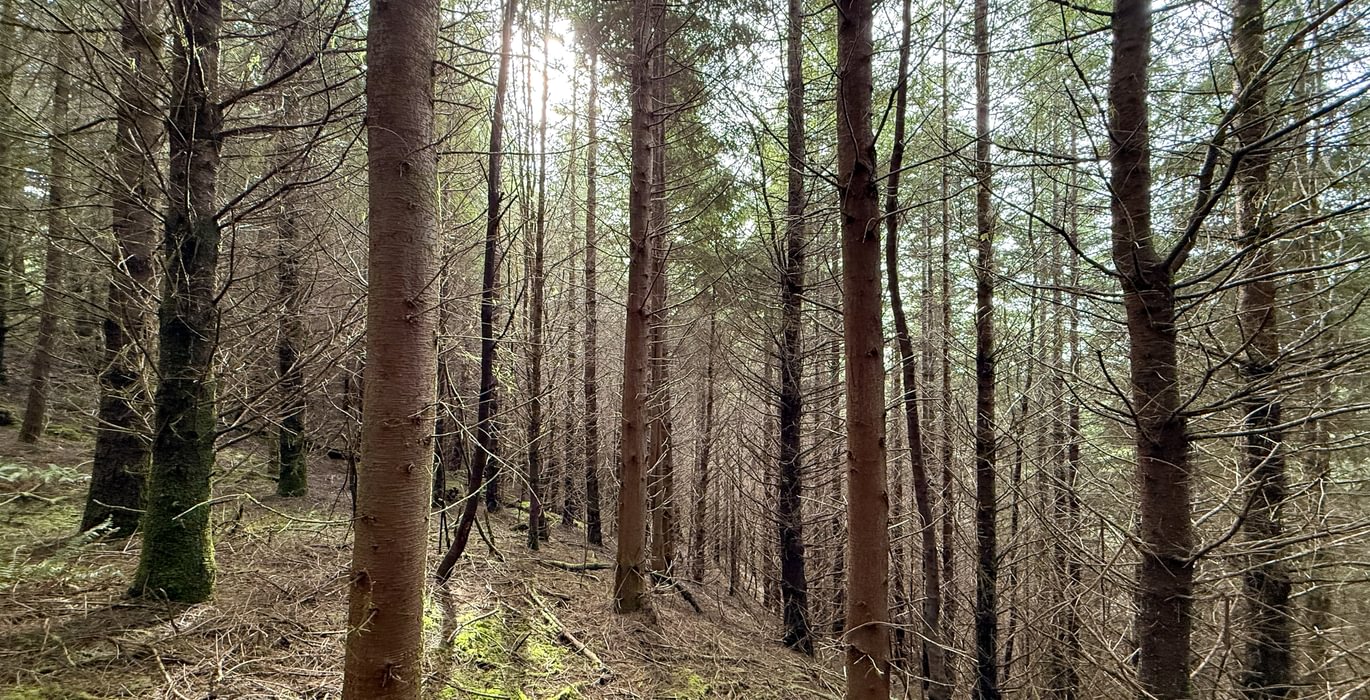 672 Photo Feb 26 2026 2 22 27 PM