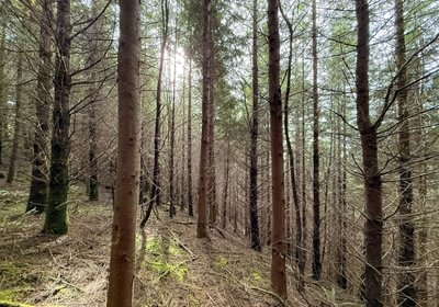 672 Photo Feb 26 2026 2 22 27 PM