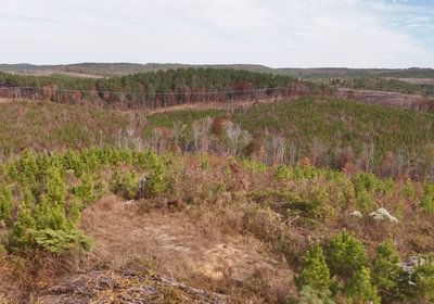 673 AFM Crump Farm Photo 12