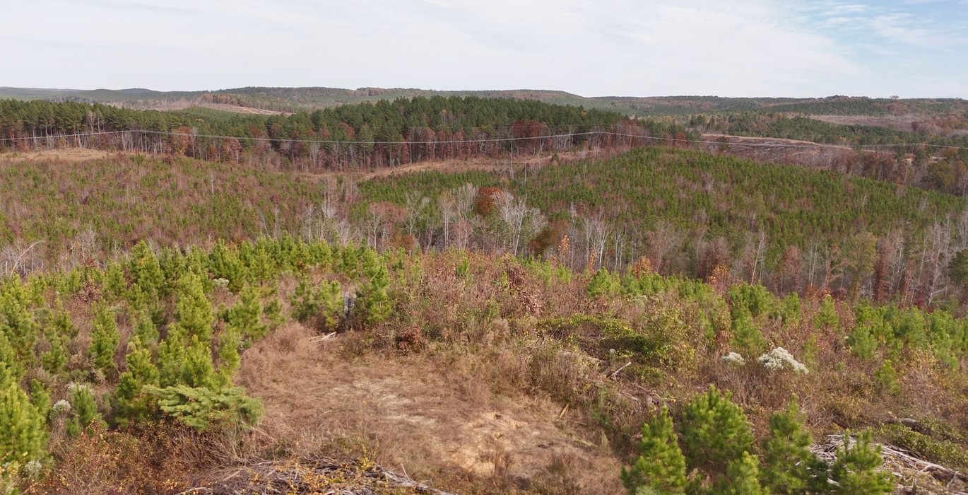 673 AFM Crump Farm Photo 12