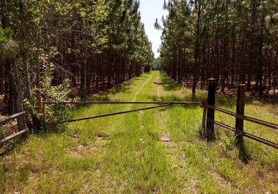 673 Beaverdam Creek Photo 49