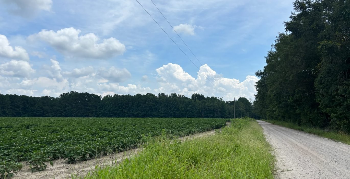 673 IMG 8381