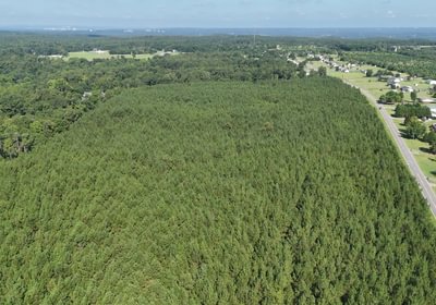 676 AFM Herndon Dairy Tract Photo 10