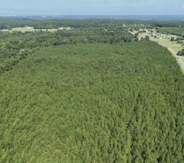 676 AFM Herndon Dairy Tract Photo 10