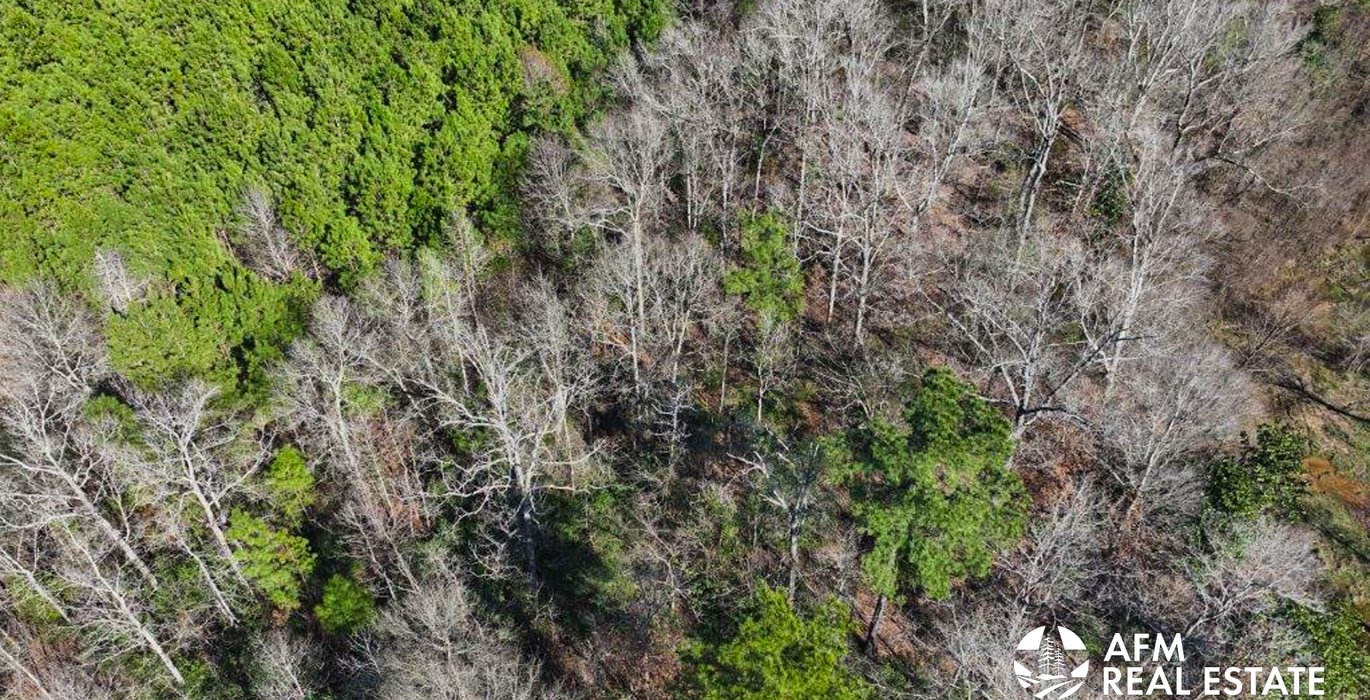 676 DJI 20250201143023 0033 V