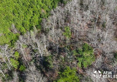 676 DJI 20250201143023 0033 V