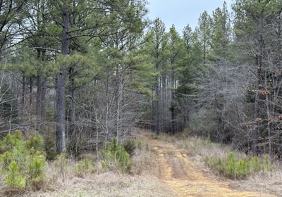 676 IMG 9092