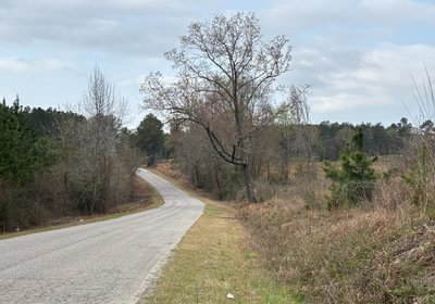 677 IMG 6396