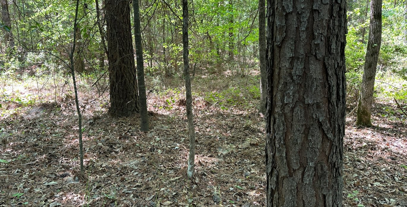 679 IMG 0081