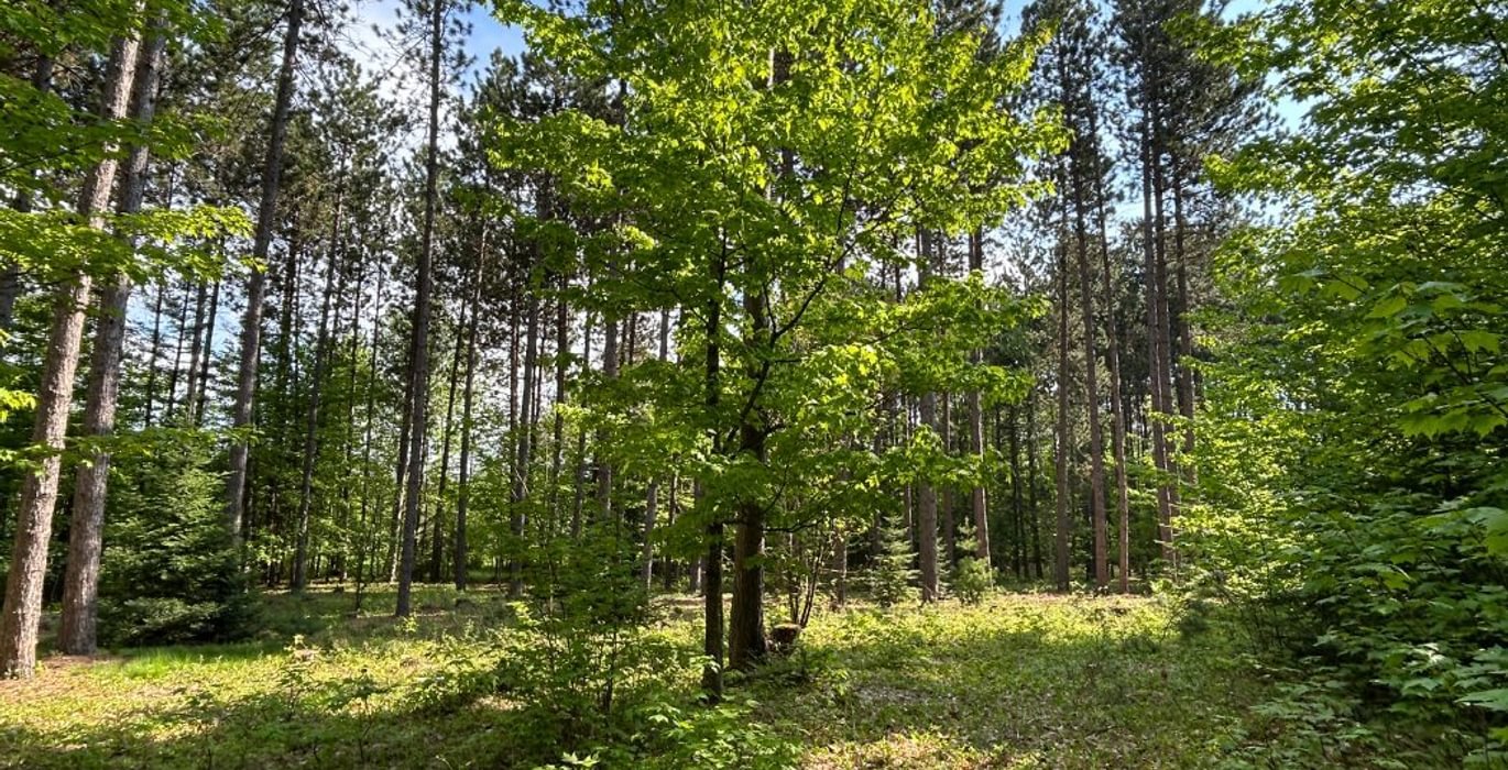 679 IMG 2741