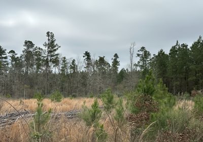 679 IMG 5710