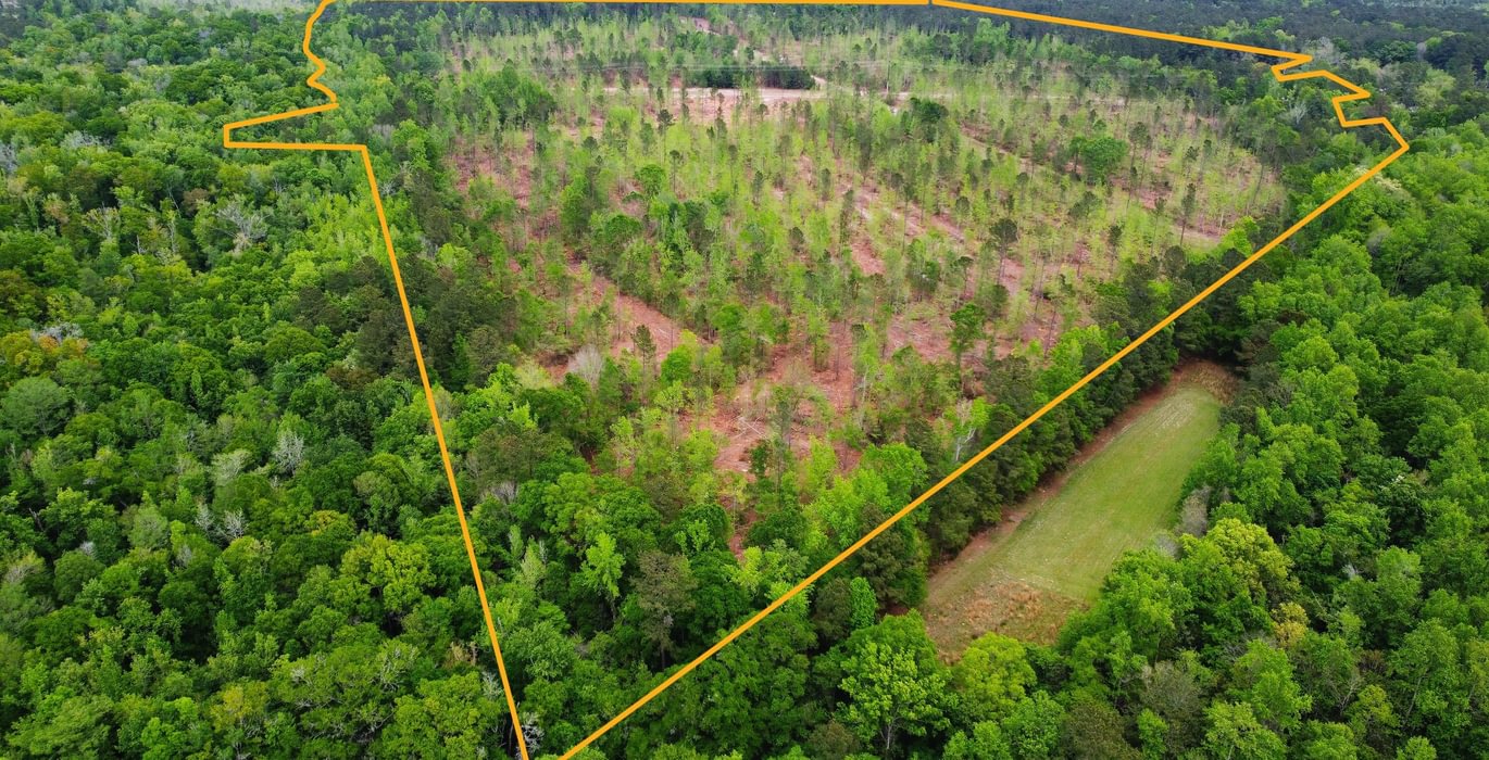 680 3dji fly 20260407 145022 211 1775587912760 photo optimized