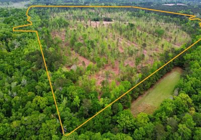 680 3dji fly 20260407 145022 211 1775587912760 photo optimized