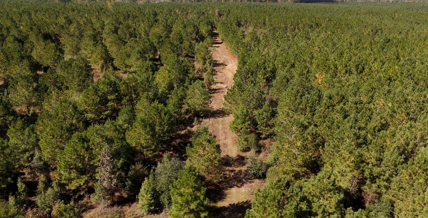 680 AFM Bladen 339 Photo 6