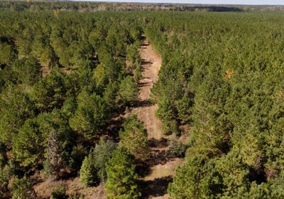 680 AFM Bladen 339 Photo 6