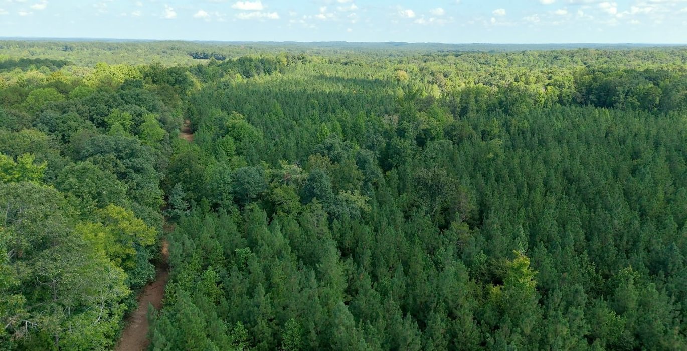 680 Simlin Creek Photo 16