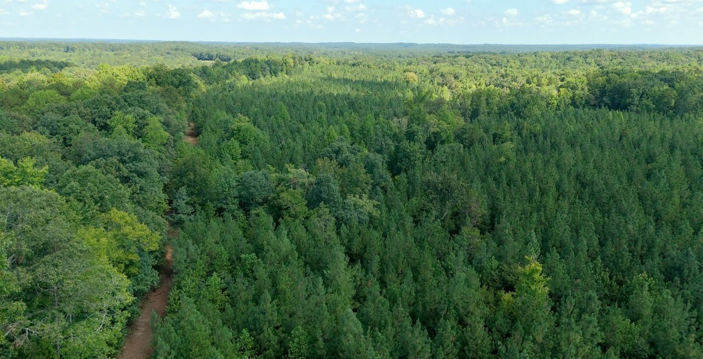 680 Simlin Creek Photo 16