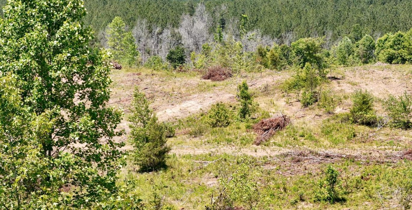 682 AFM Big Mountain Creek Photo 25