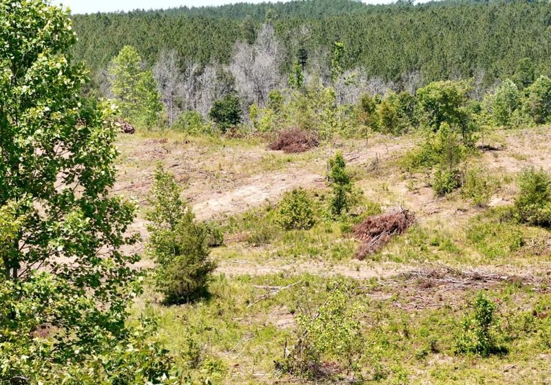 682 AFM Big Mountain Creek Photo 25