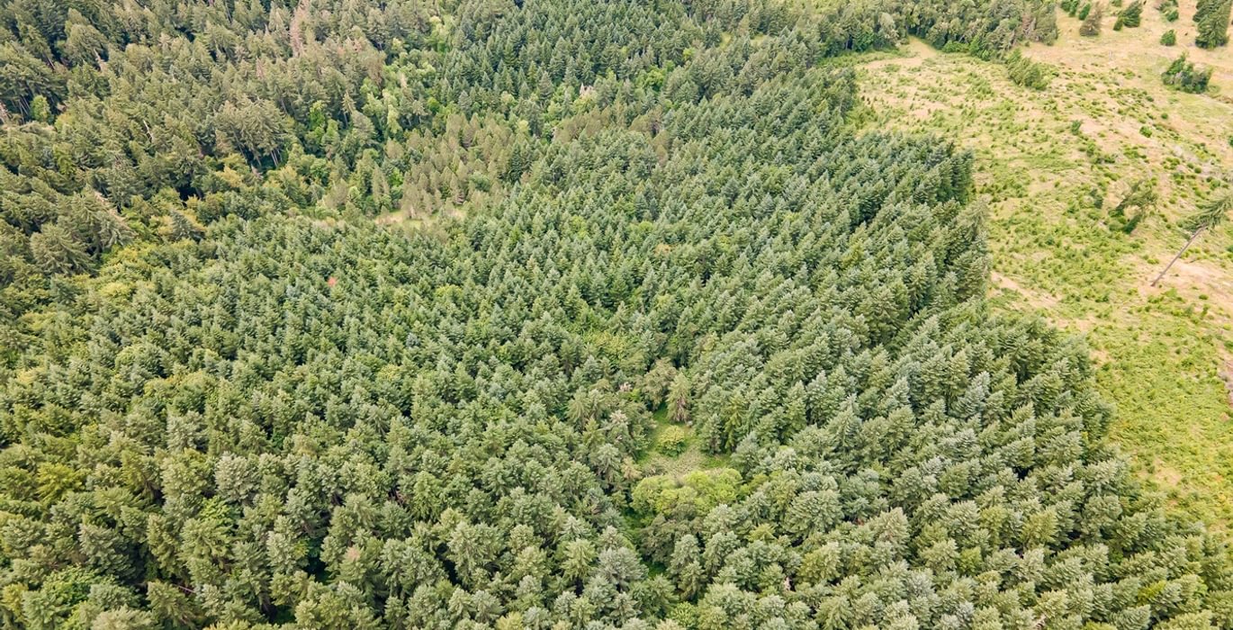 682 DJI 0627 HDR25