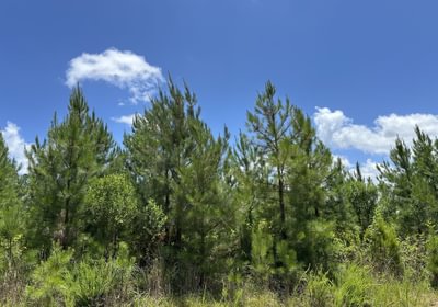 683 IMG 5608