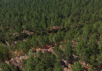 684 Cabin Creek Photo 20