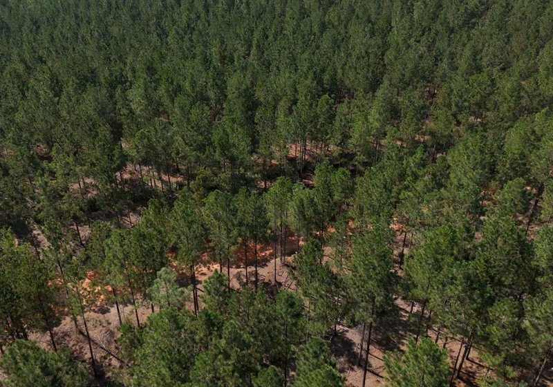 684 Cabin Creek Photo 20