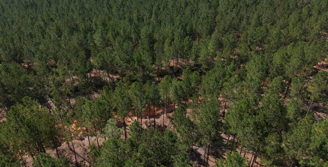 684 Cabin Creek Photo 20