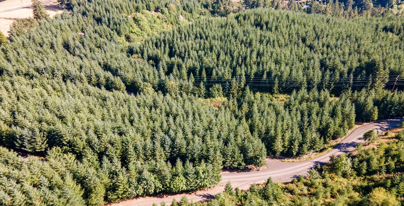 684 DJI 0953 HDR25
