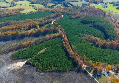 684 DJI 20251104140110 0066 D