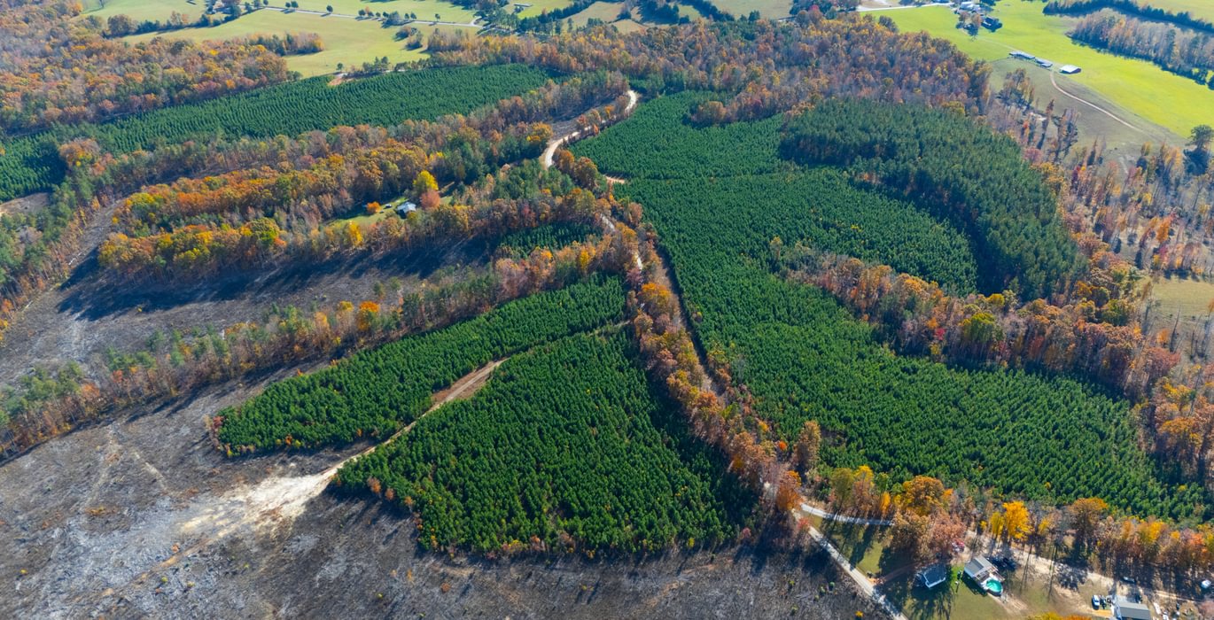 684 DJI 20251104140110 0066 D