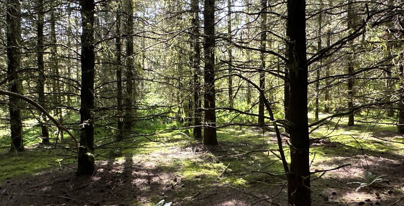 685 IMG 0708