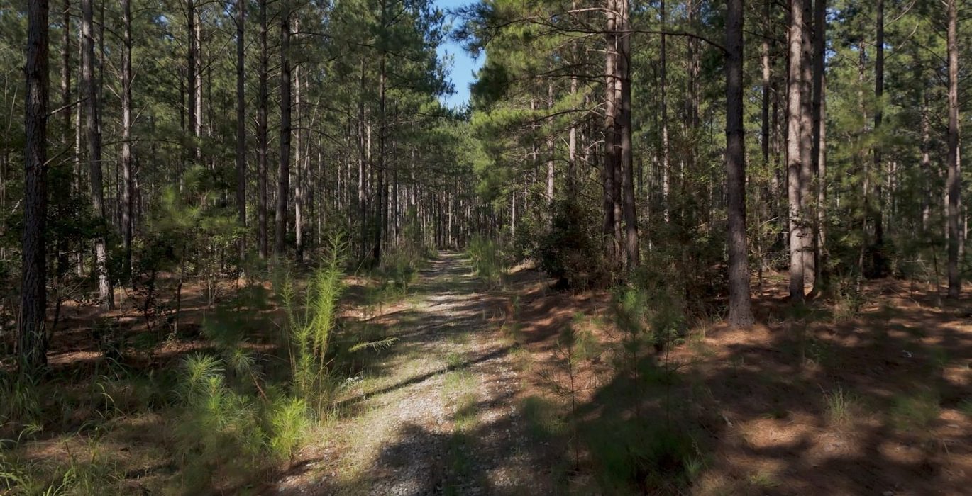687 Cabin Creek Photo 1