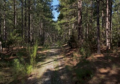 687 Cabin Creek Photo 1