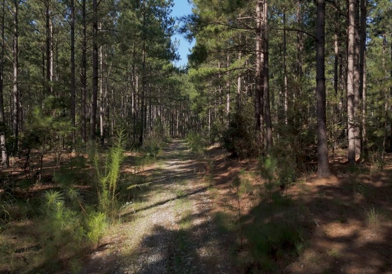 687 Cabin Creek Photo 1